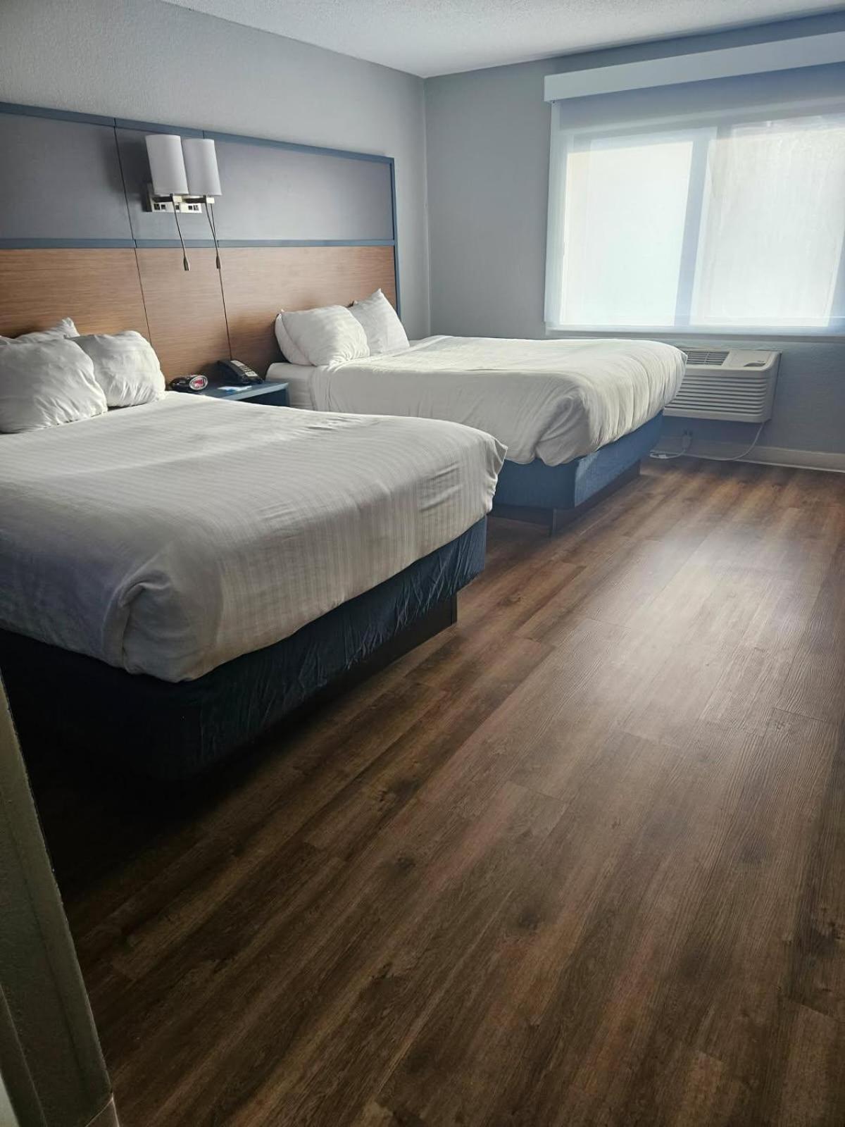 Americinn By Wyndham אלברט לי מראה חיצוני תמונה